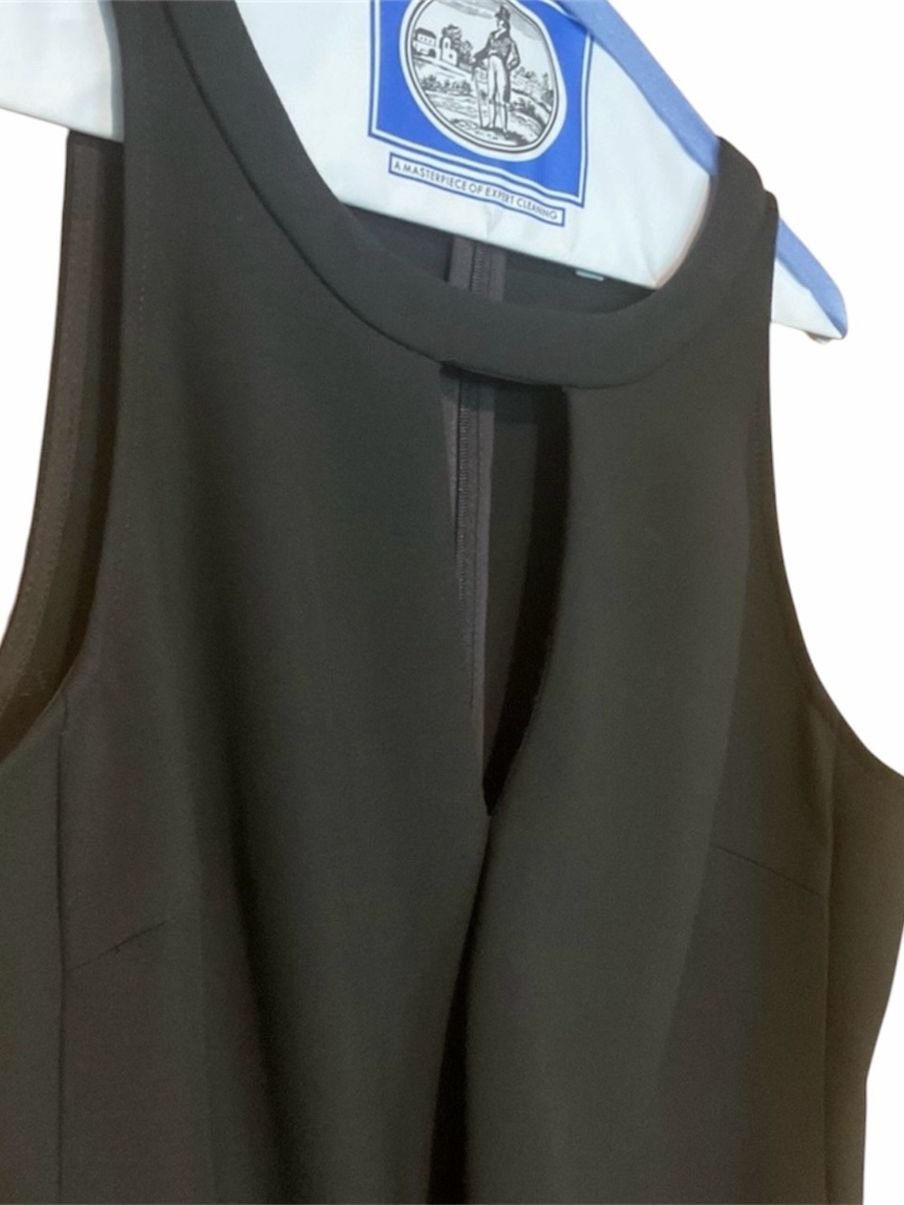 Trina Turk Black Sleeveless Ruffle Front Mini Dress - Size: 6 - Picture 4 of 10